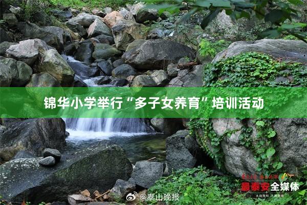 锦华小学举行“多子女养育”培训活动