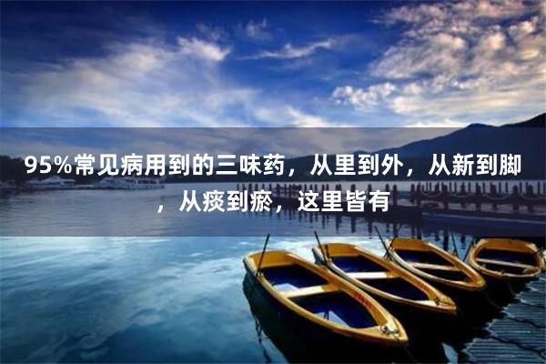 95%常见病用到的三味药，从里到外，从新到脚，从痰到瘀，这里皆有
